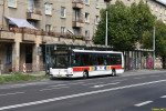 Tento obrzek