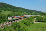 150.225, Ex 127 Fatra, Leskovec, 20.5.2009
