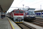 Brejlovec s rychl�kovou soupravou sm�r Prievidza