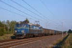 ET22.1139 Ogrodniki