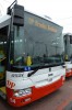 Krte�ek