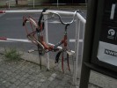 Tento obr�zek