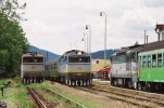 753 237+750 185+754 052, Sl. Lup�a, 19.6.2007