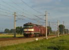 Tento obr�zek