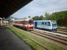 Tento obr�zek