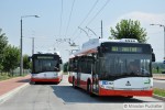 Ev. �. 301 (�koda 26 Tr Solaris) a ev. �. 302 (�koda 26 Tr Solaris) v kone�n� "Globus".