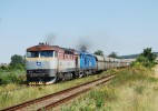 Tento obr�zek