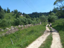 Tento obr�zek