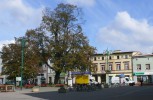Lubliniec - Plac Mikolaja Kopernika