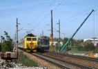 tot� muselo i  eso 363086 ,jen krokem