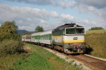 750 222 Stru�nice