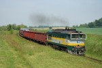Tento obr�zek