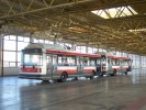 Tento obr�zek