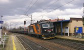 Starczw : 182 111-5 projd s nkladnm vlakem od Wroclawi do Klodzka 