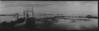 Dvno zaplaven alej, 1962