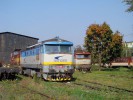 Tento obr�zek