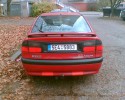 Tento obr�zek