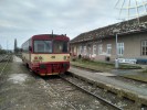 810.665 "jedna z mla ervench" ped vlakem 5717 v obratov stanici Mstec Krlov 12.4.2019