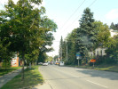 nov� �sek u h�bitova