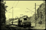 Tento obr�zek