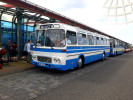 Karosa D 11 SPZ 8A9 2750 Arriva City v praskm terminlu Letany pi pleitosti autobusovho dne