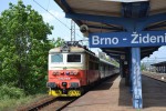Brno-idenice (2)