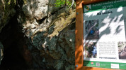 Tento obr�zek