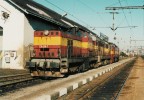 735 248 Horn Herpice leden 2001