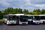 C954 DPKV + MAN Lions City LIGNETA + Axer VV autobusy, terminl KV