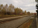 Tento obr�zek