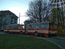 Kohoutovice H�jenka