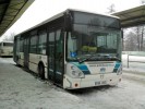 zamrzlej Citelis 1K9 4845