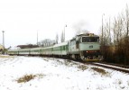 750 119-0 Holeov(30.ledna 2004,R 1445,foto-Martin Nesrsta)