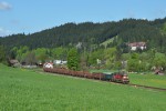 742.263, Velk� Karlovice, Mn 81171, 7.5.2015, autor: Vojt�ch G�ek