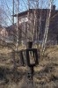 Mirsk