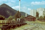 Are�l muzea PL� v Liptovsk�m hr�dku (07.93)