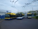 �etenice Tolst�ho 5.5.