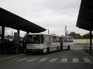 T�bor, a.n.