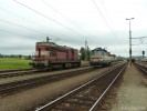 Tento obr�zek