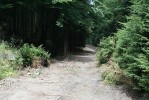Tento obr�zek