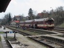 P�estup cestuj�c�ch z autobusu (jel jen jeden; 45 m�st k sezen�) do vlaku (208? m�st k sezen�)