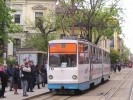 Sofia (BG)