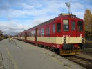 842028 + 842012, R 890 Bezdrev, B�eznice, 3.11.2007 (na p��p�e� ji� nebyl v�z :-)