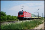 Tento obr�zek