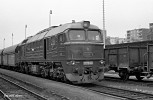 T679.1185  Karlovy Vary 12.7.1981