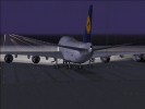 747 lufthansa