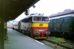 750.163-8 Sp1981 Pardubice hl.n. 30.8.2002