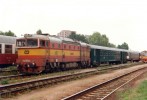 T 478.3076 - Veleslavn 1996