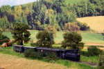 Tento obr�zek