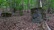 Tento obr�zek